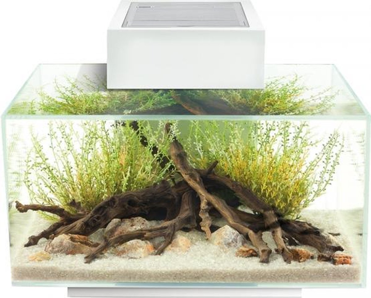 Fluval edge i 2.0 aquariumkit 23l Wit 43x26x36cm