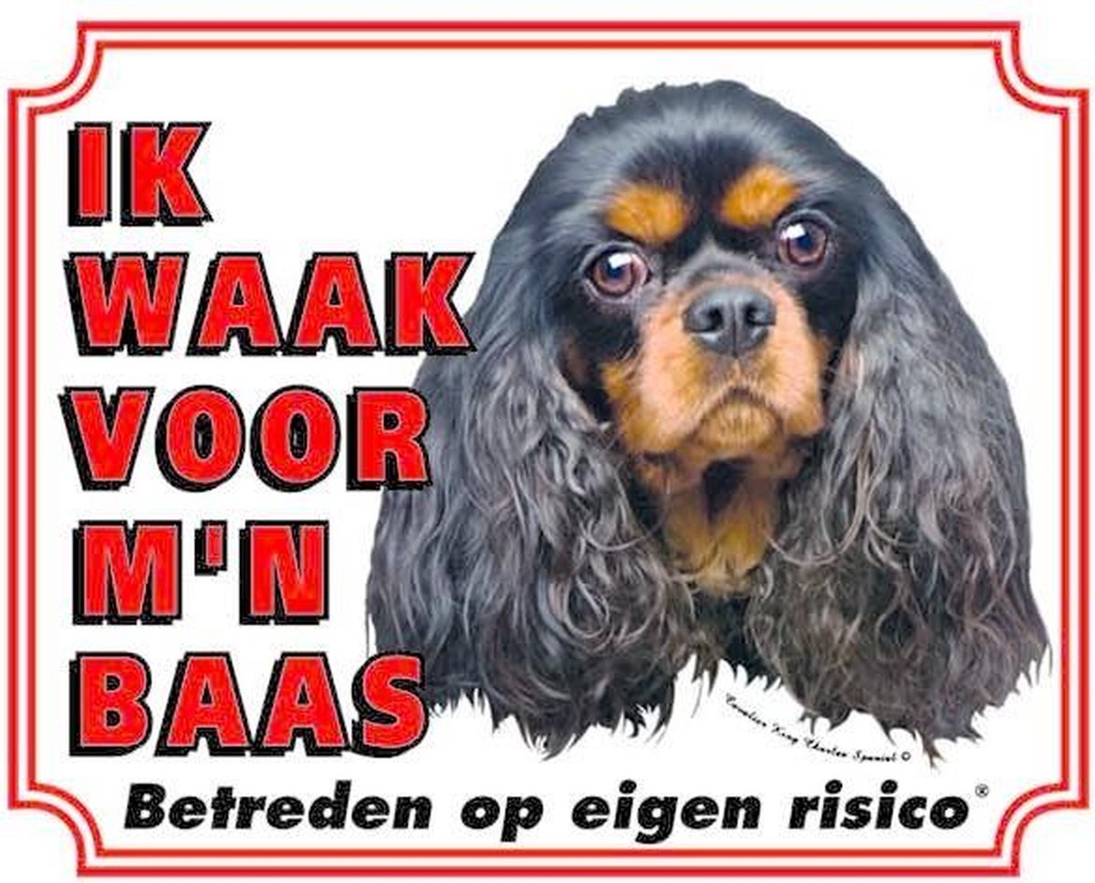 Cavalier King Charles Spaniel Waakbord - Ik waak voor mijn baas