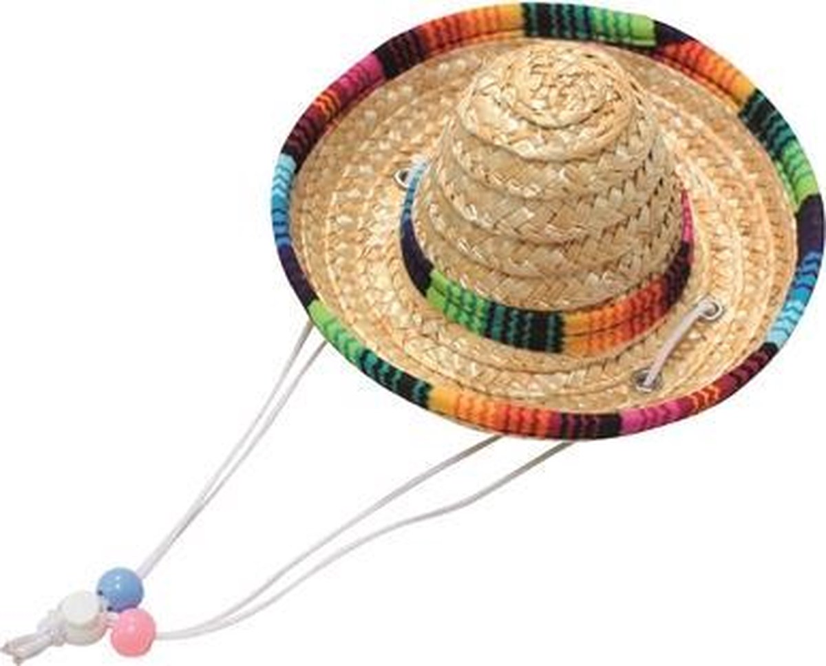Straw hat sombrero s