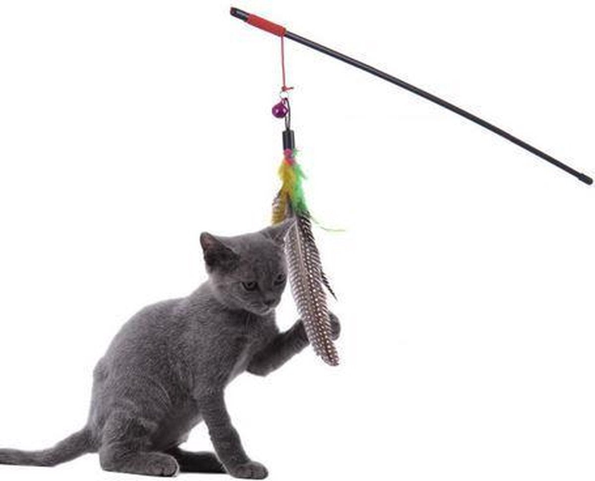 Kattenhengel met veertjes en belletje