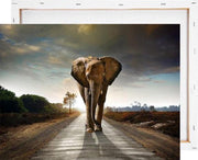 Olifant op weg - Schilderen op nummer - Met frame - 40x50 cm