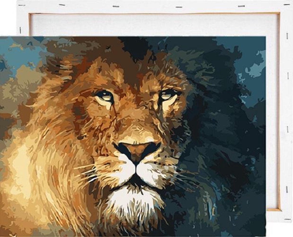 Leeuw gezicht - Schilderen op nummer - Met frame - 40x50 cm