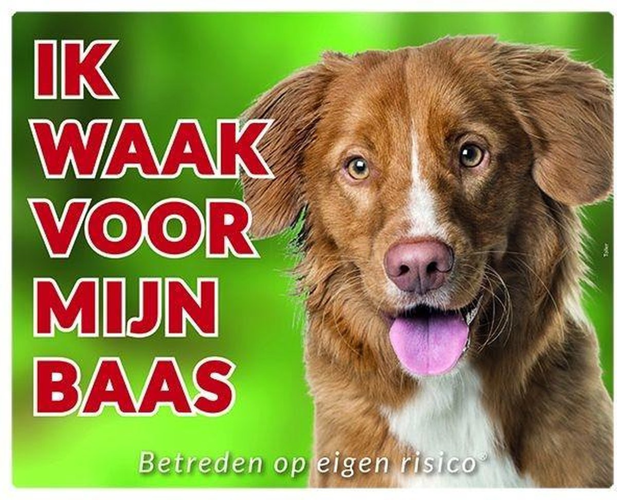 Nova Scotia Duck Tolling Retriever Waakbord