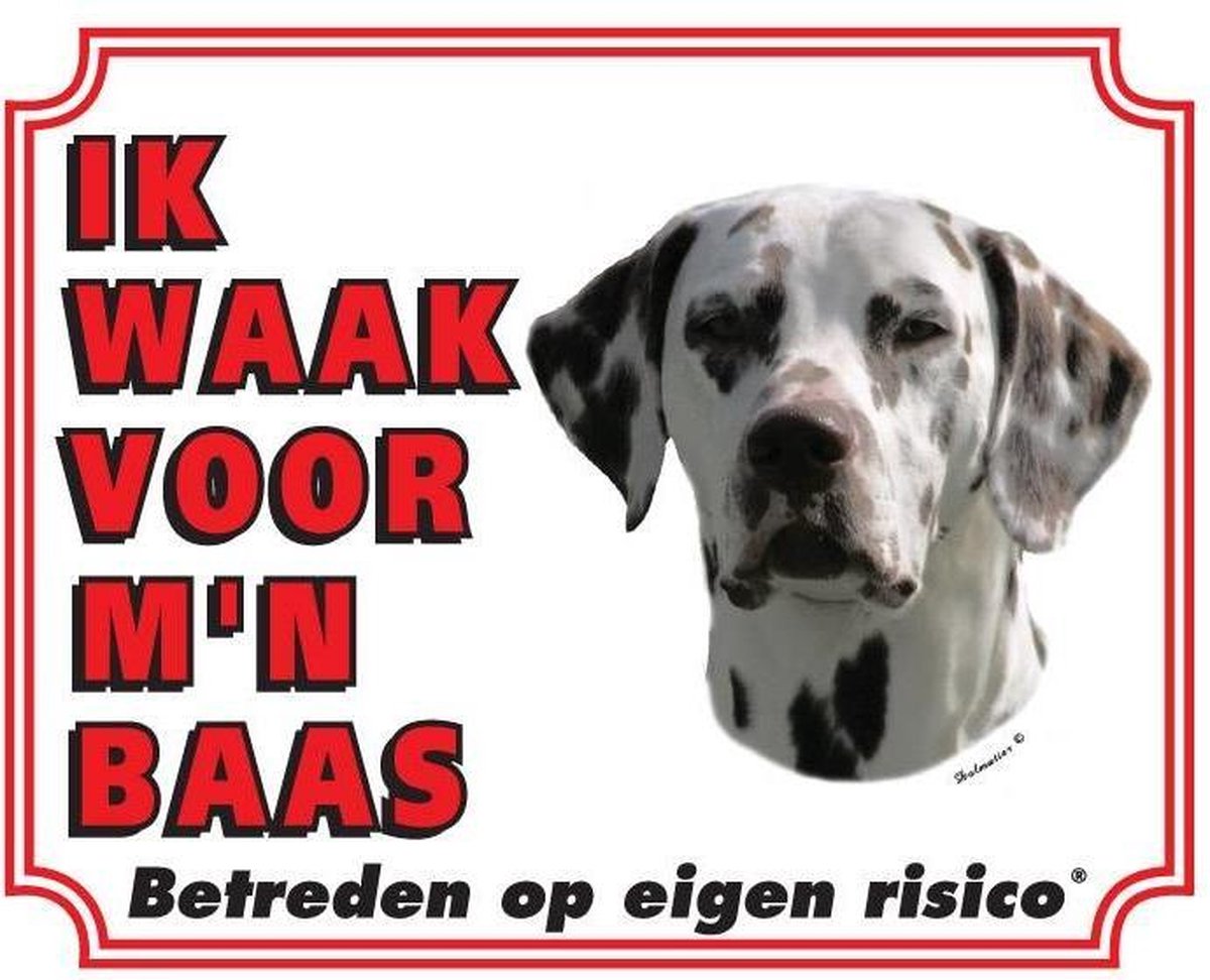 Dalmatier Waakbord - Ik waak voor mijn baas