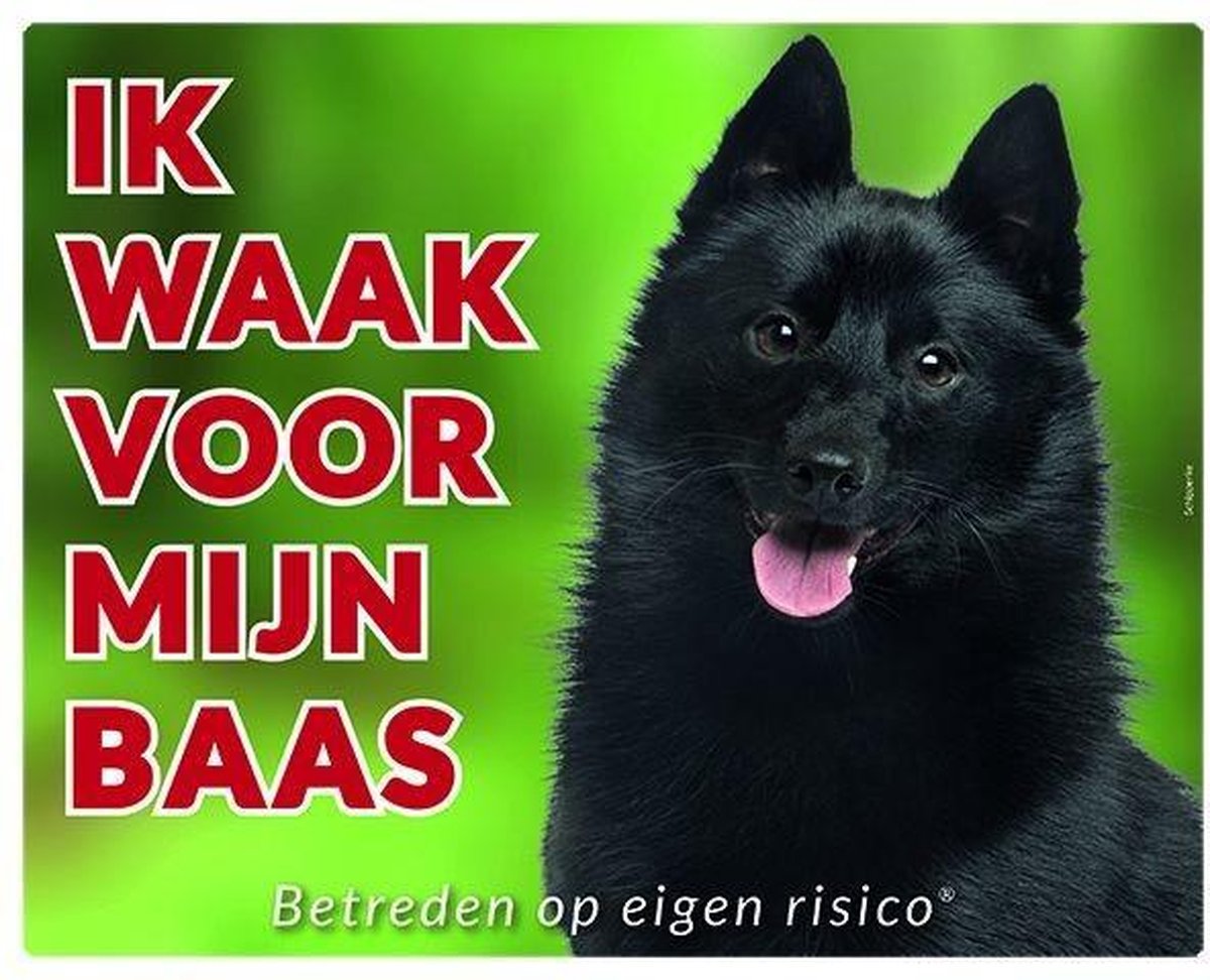 Schipperke Waakbord - Ik waak voor mijn baas