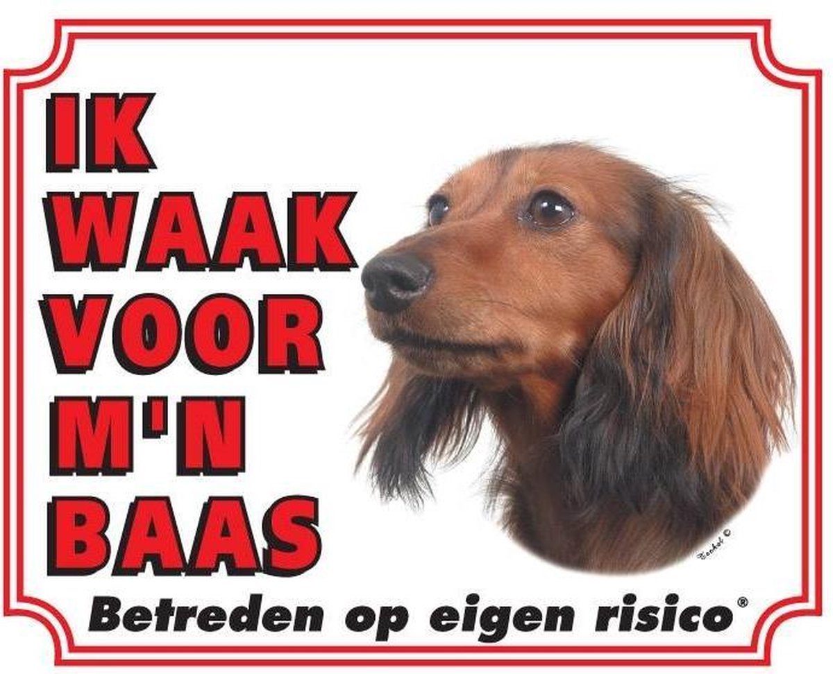 Teckel Waakbord - Langhaar
