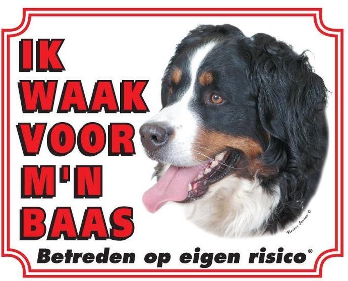 Waakbord 22 Berner Sennen 20x25cm