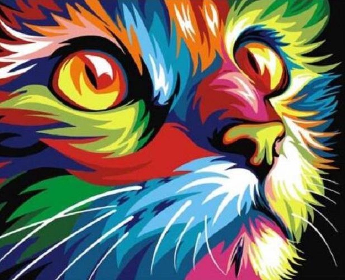 Kat - Diamond Painting - 15x20cm - Complete Set - Inclusief Tools