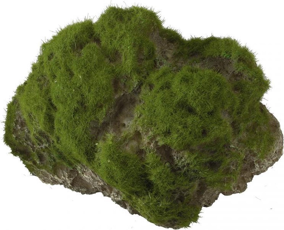Auqa Della Moss stone with suction cup L - 17x11x13
