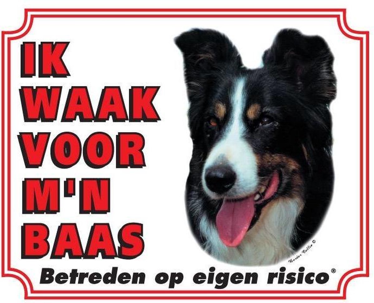 Border Collie Waakbord - Ik waak voor mijn baas