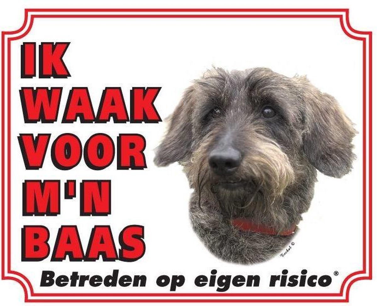 Teckel Waakbord - Ruwhaar