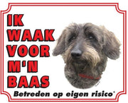 Teckel Waakbord - Ruwhaar
