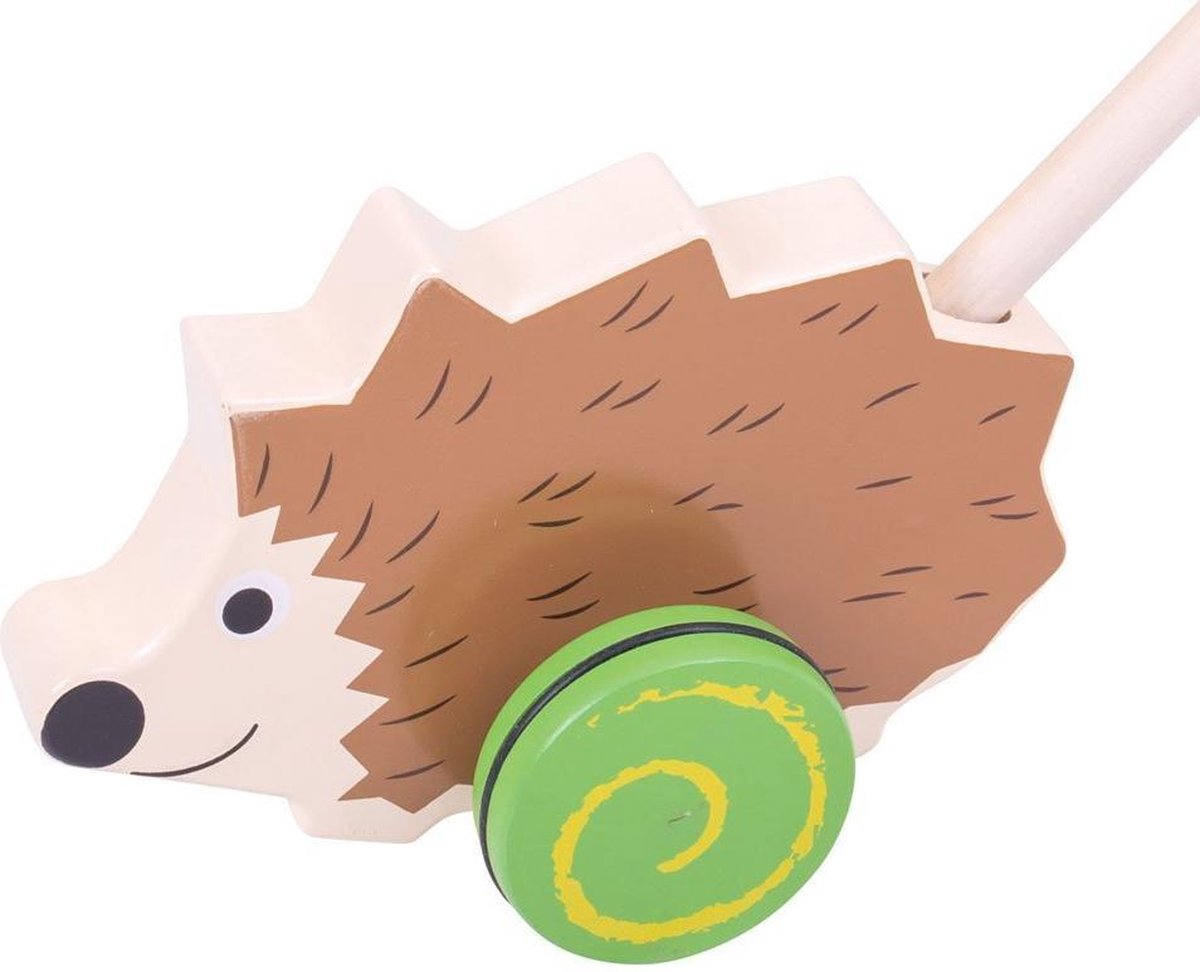 Bigjigs Hedgehog Push Along (4)