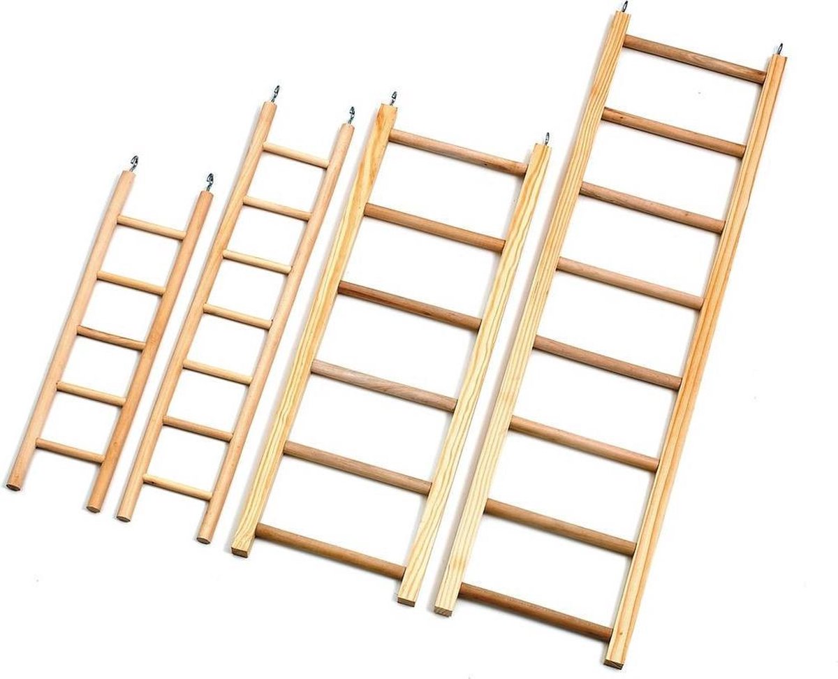 Parakeet ladder 5 steps