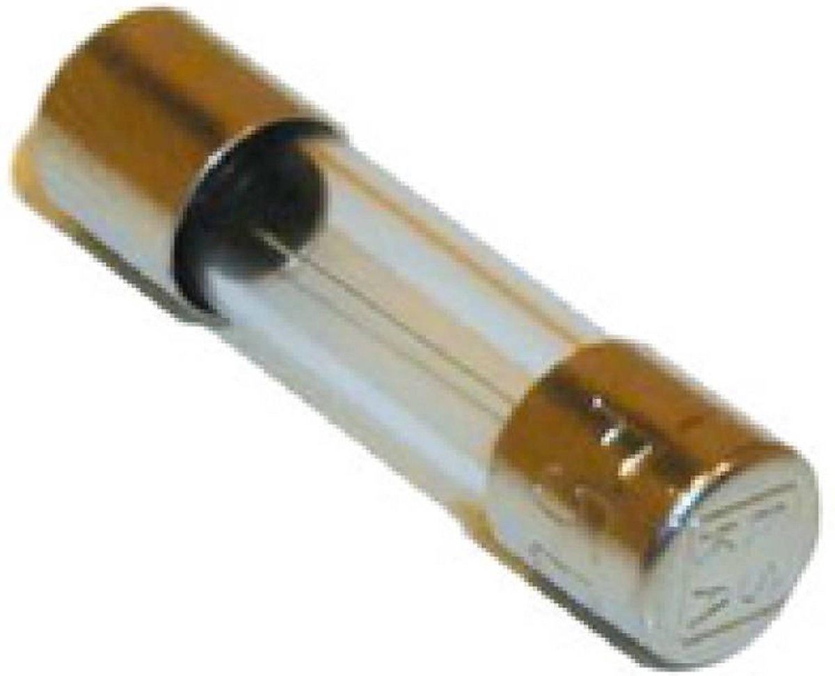 Orbit glaszekering 5x20 F(snel) 1