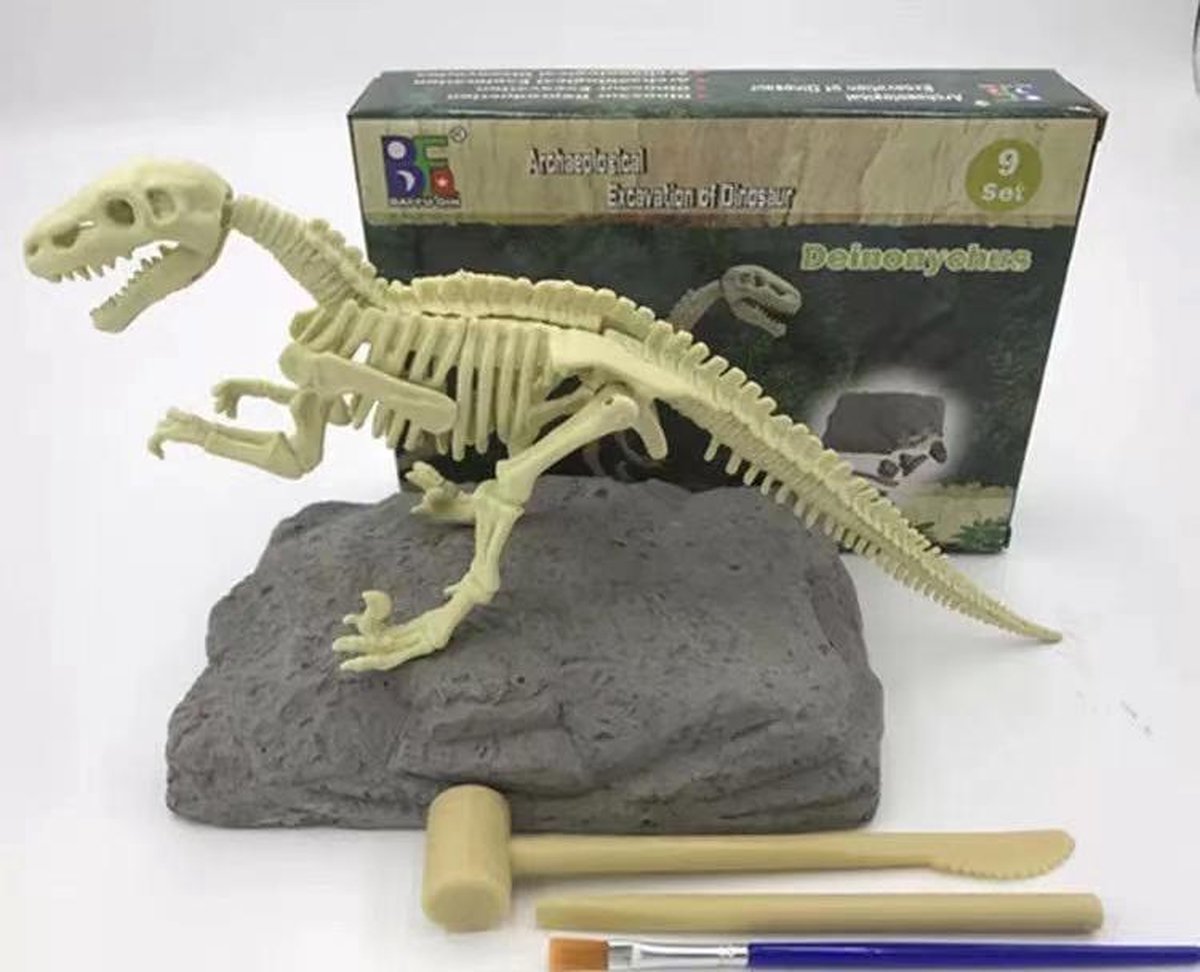 Dinosaurus opgravingsset - Deinonychus - Speelgoed - Dino fossiel
