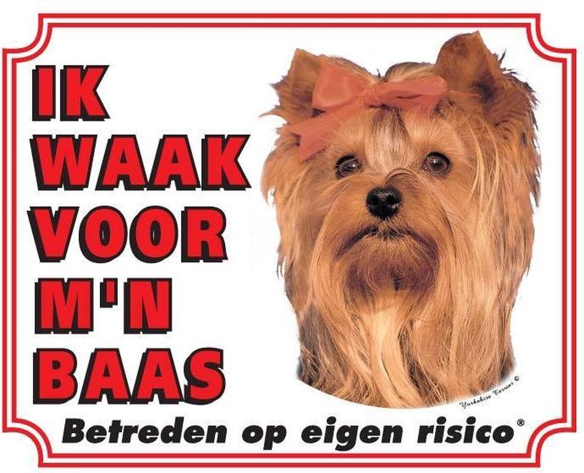 Yorkshire Terrier Waakbord - Ik waak voor mijn baas