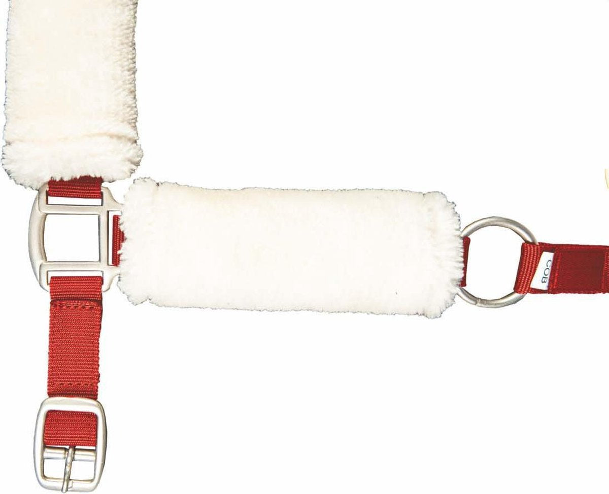 Halster - North Pole -