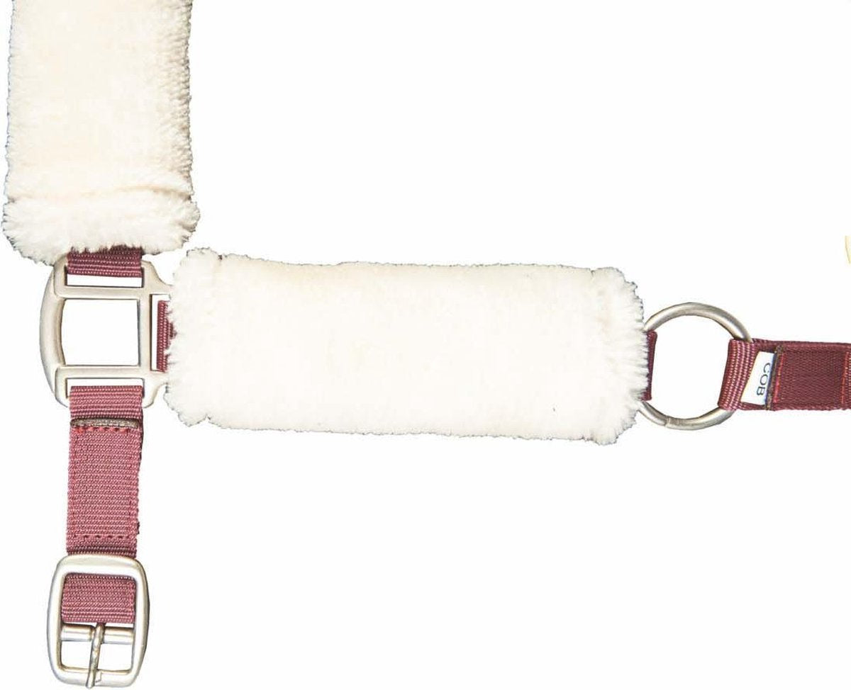 Halster - North Pole -
