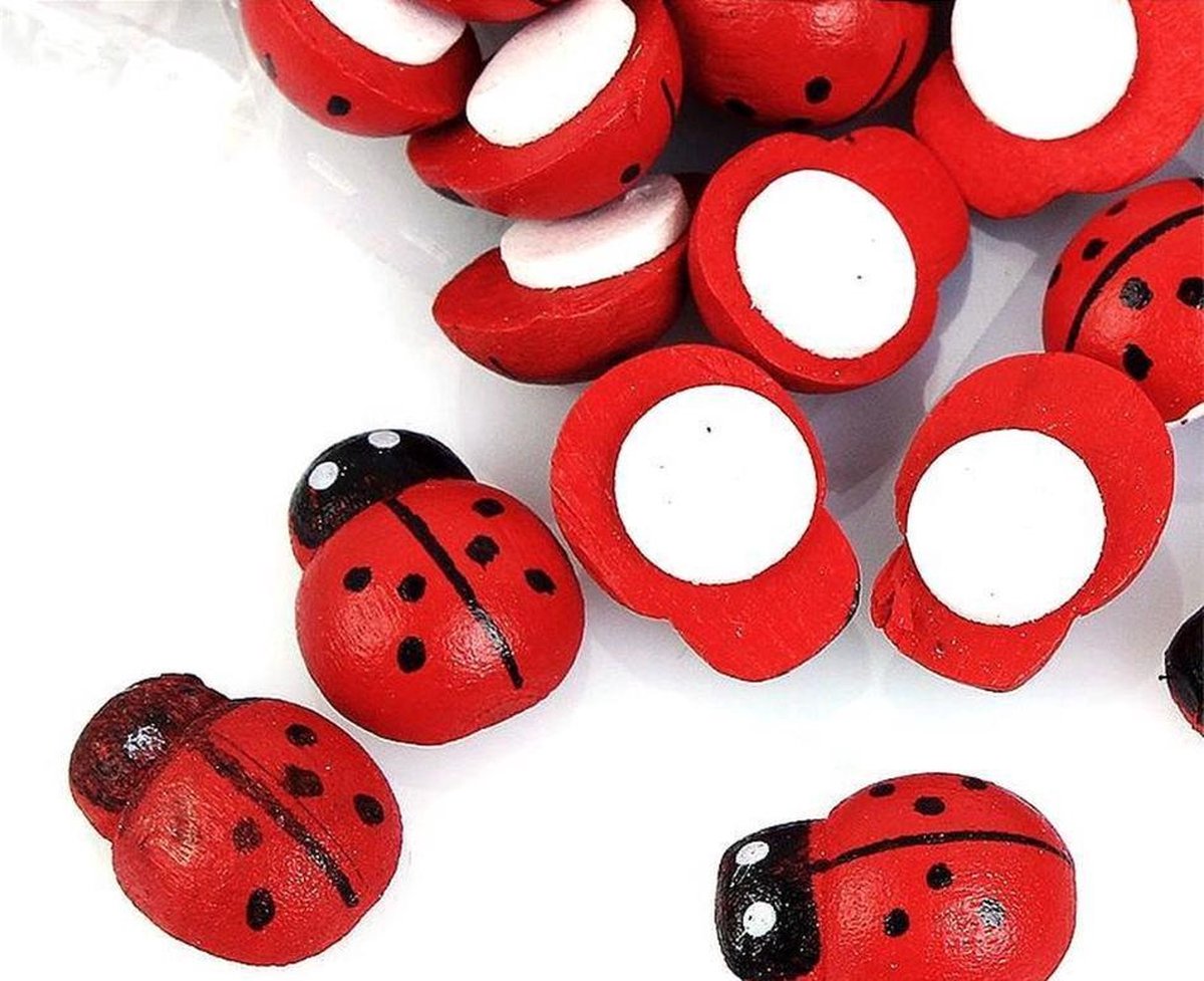 100x Houten Mini Lieveheersbeestje Knutselen & Plak Decoratie
