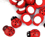 100x Houten Mini Lieveheersbeestje Knutselen & Plak Decoratie