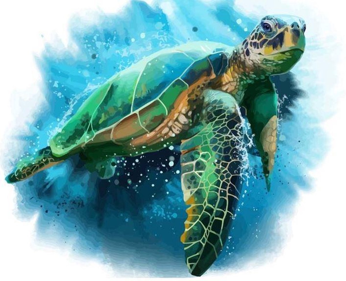 Schilderen op Nummer - Paint By Numbers - Schildpad - 50x40cm - Volwassenen & Kinderen - Stipco
