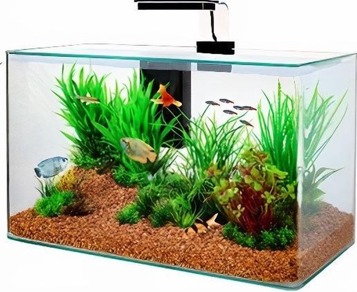 Zolux Aquarium Clear Kit Zwart 32 Liter 50x25x38 Centimeter