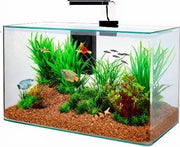 Zolux Aquarium Clear Kit Zwart 32 Liter 50x25x38 Centimeter