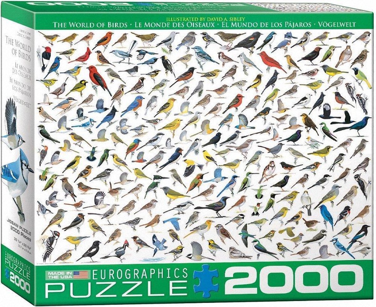 The World of Birds