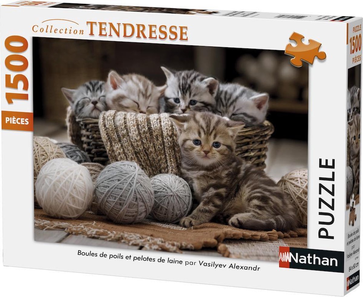 Nathan 877904 Legpuzzel 1500 stuk(s)