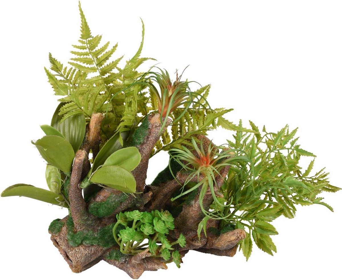Aquarium decoratie Dio Wortels met Plant  - 36 x 31 x 33 cm