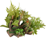 Aquarium decoratie Dio Wortels met Plant  - 36 x 31 x 33 cm