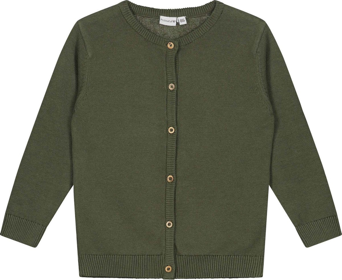 Prénatal Baby Meisjes Vest met Lange Mouwen - Babykleding - Groen - Maat 68