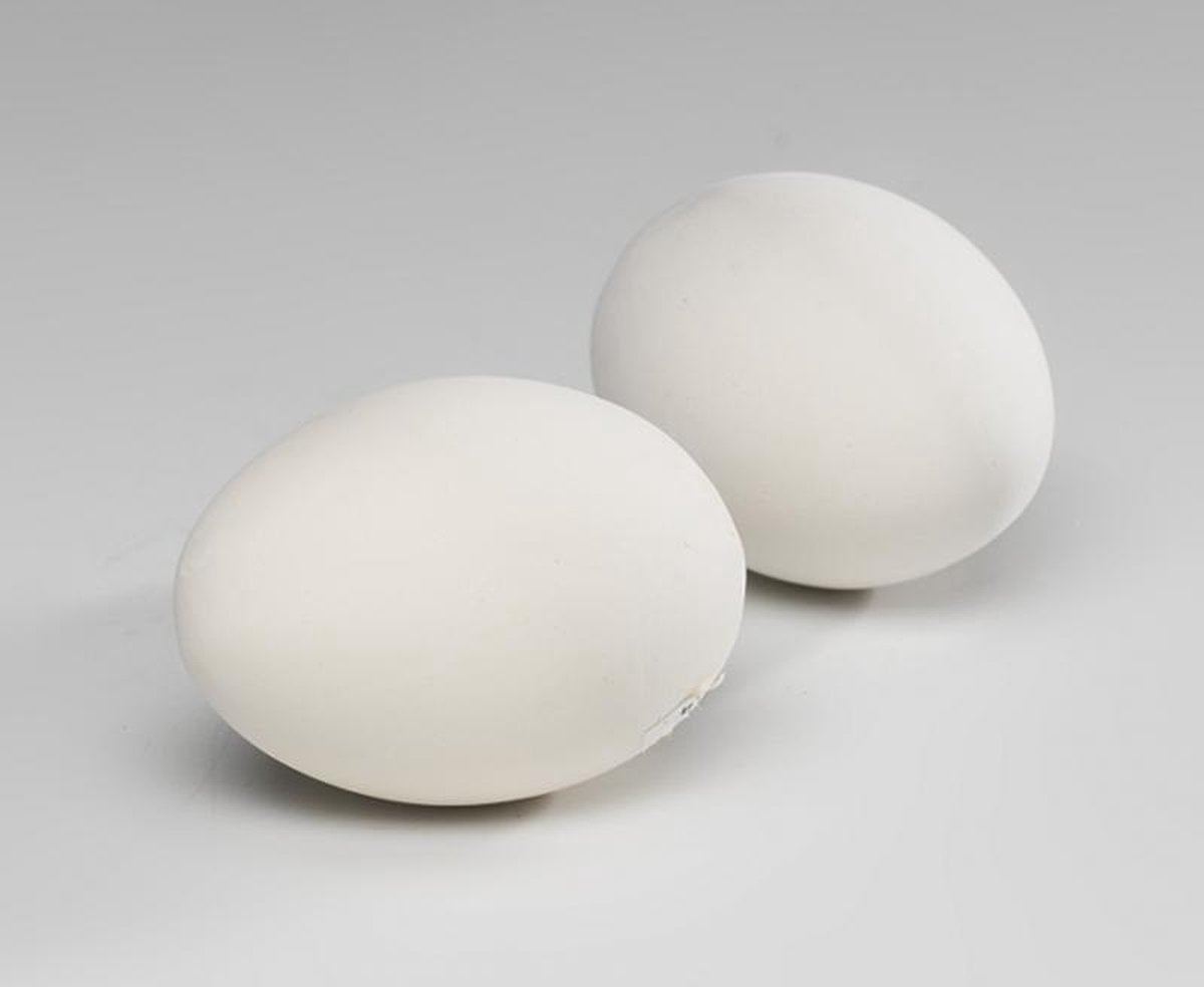 Natural Duivenei plastiek hol 4 stuks