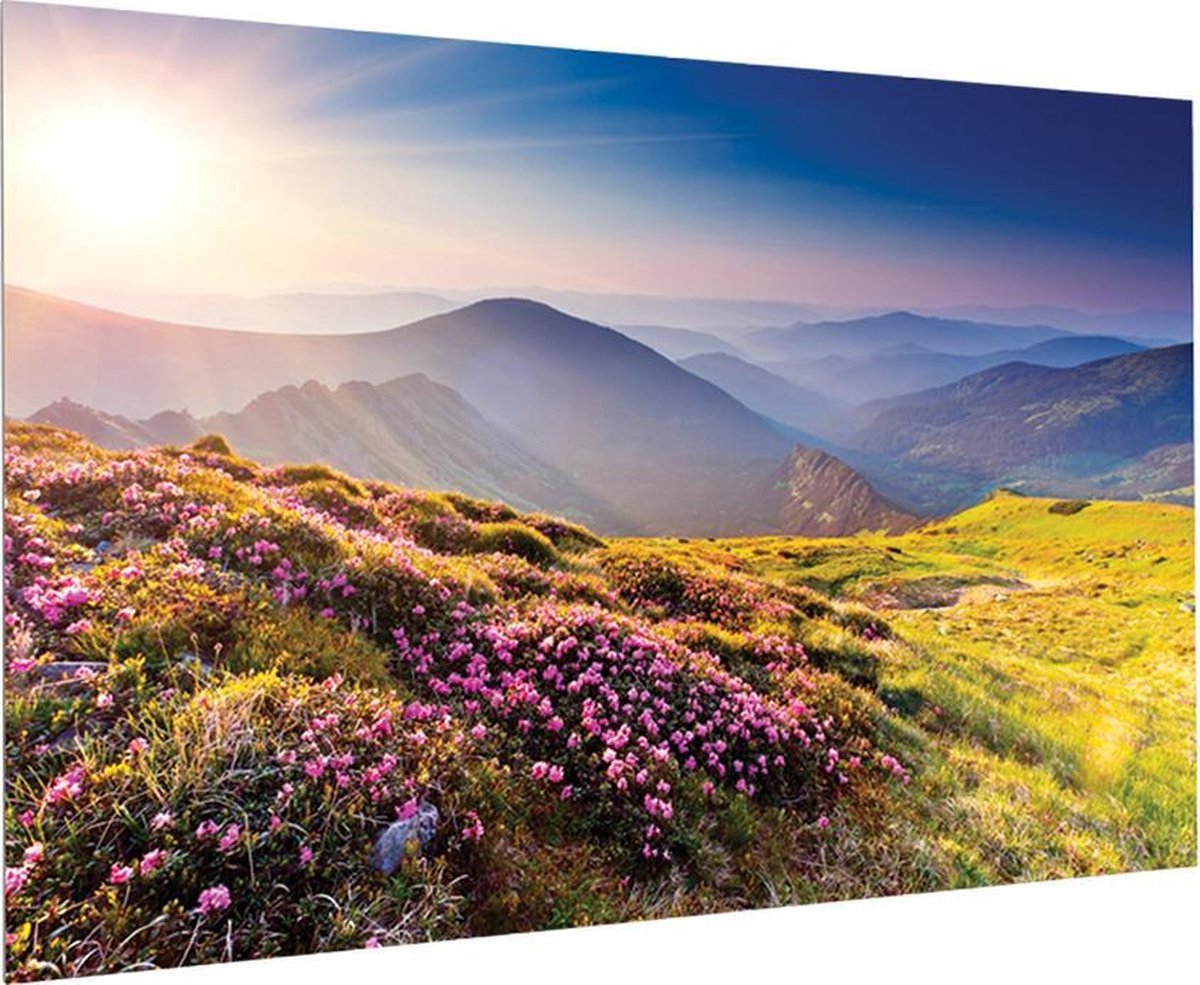 Milestone Projecta FullVision 163x260 HD Progressive 1.1 Co