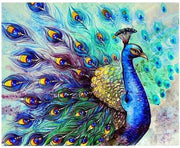 Schilderen op nummer pauw 40x50 cm (zonder frame)