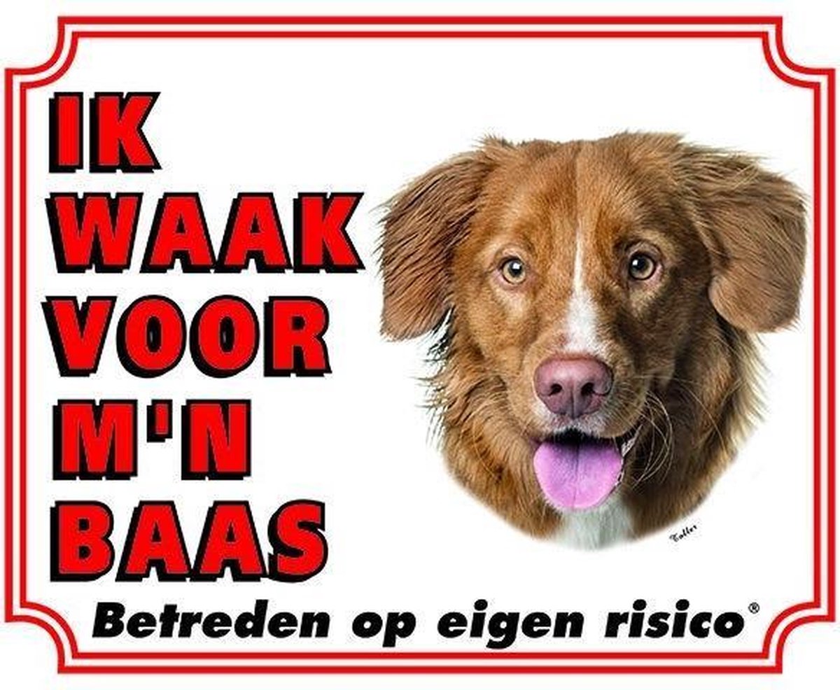 Nova Scotia Duck Tolling Retriever Waakbord