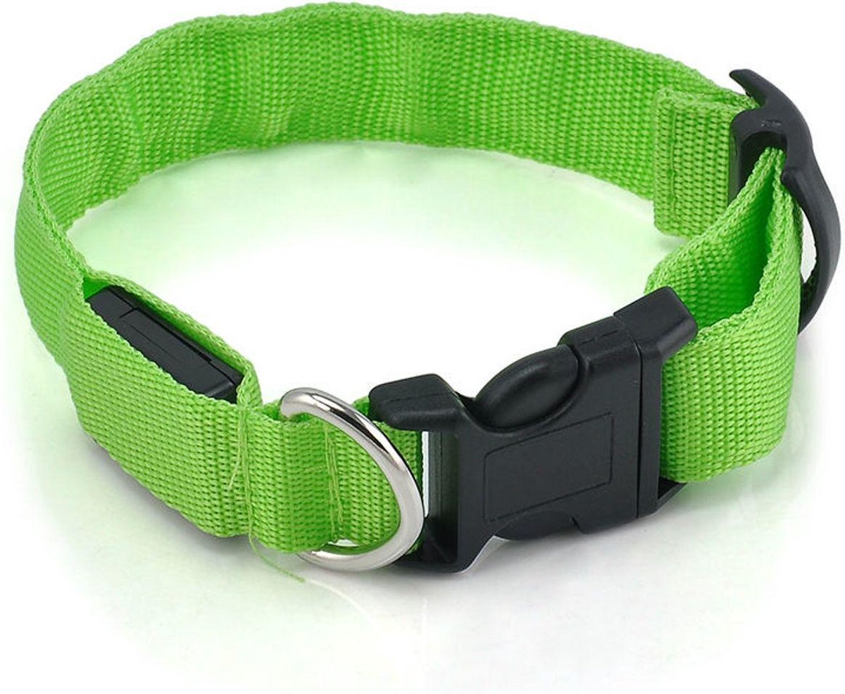 Halsband voor hond met led verlichting - groen - maat S (34-41 cm) - lichtgevende hondenhalsband