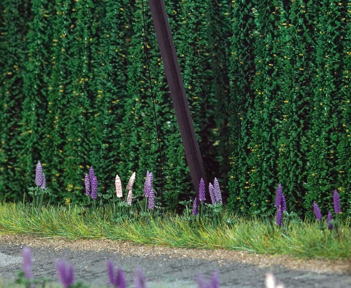 Busch - 8 Stauden Wildlupinen (7/19) * (Bu9792)