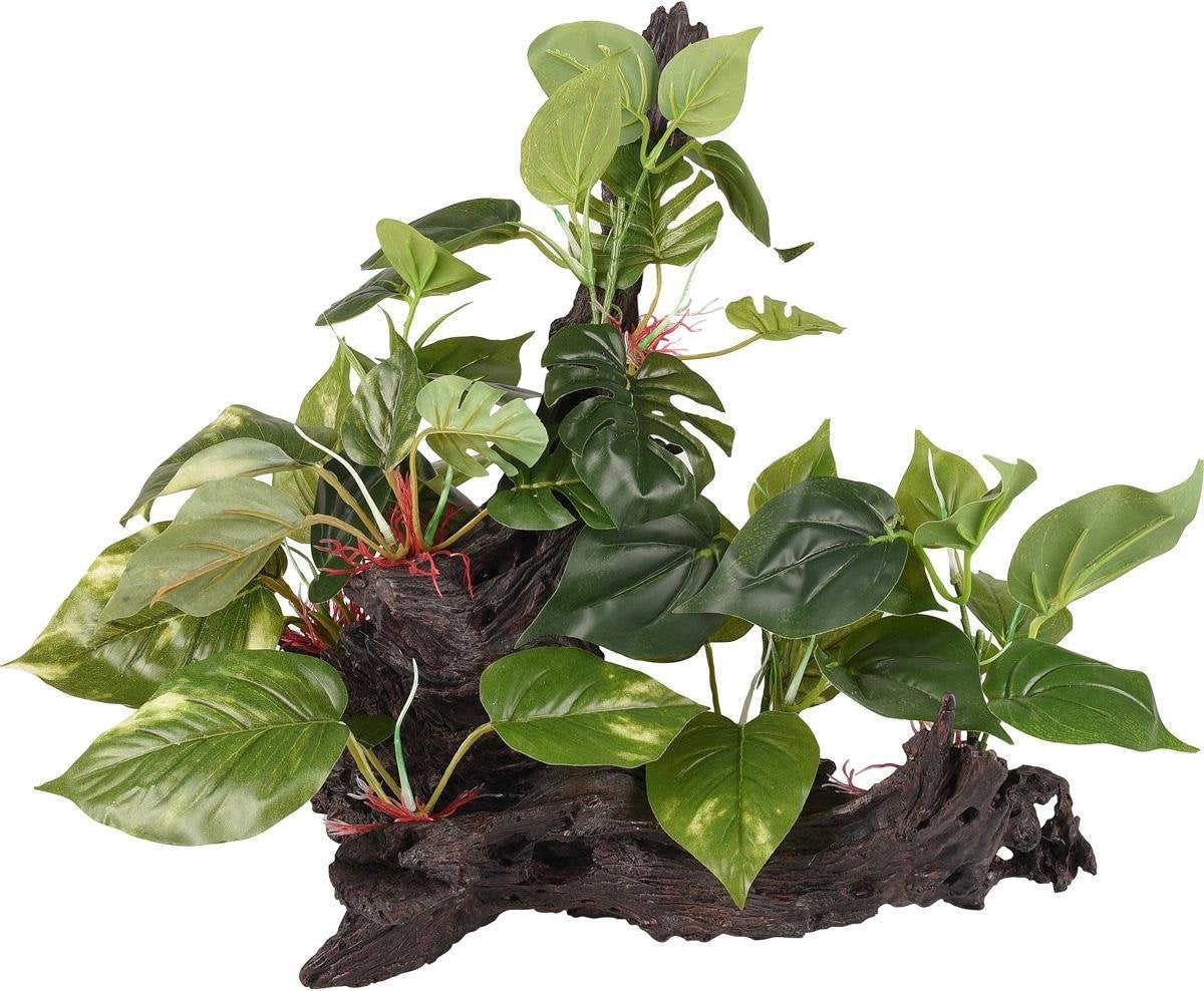 Aquarium Tropica tak+plant - Groen - 49 x 35 x 38 cm - Aquarium decoratie