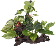 Aquarium Tropica tak+plant - Groen - 49 x 35 x 38 cm - Aquarium decoratie