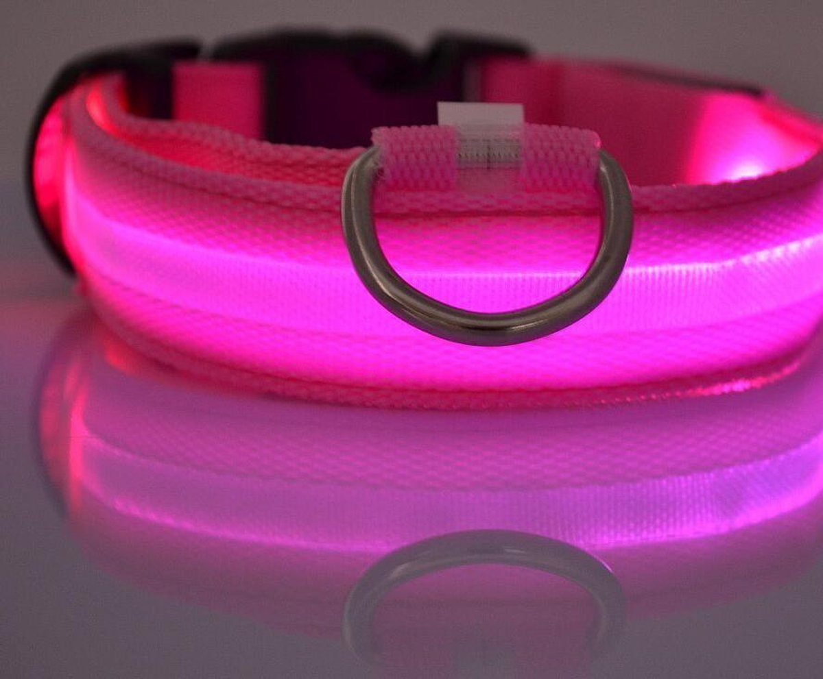 LED halsband voor honden - Roze - M - Lichtgevende halsbanden voor hond - Puppy halsbandje - Puppie - Halsbandjes - Hondenhalsband met lichtje - Lichtgevend - Licht in het donker - Hondenhalsbanden