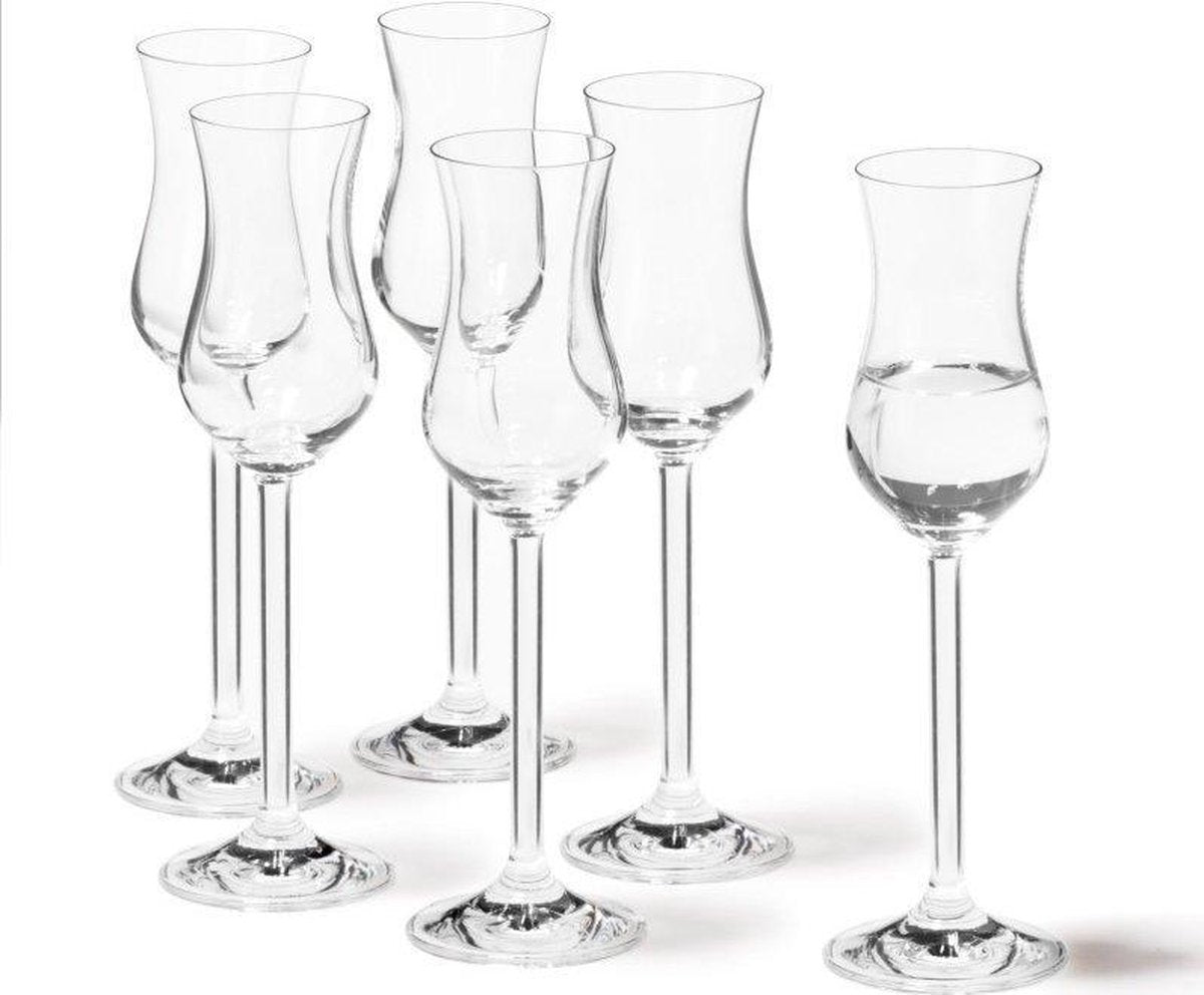 Leonardo Grappa glas Daily set van 6