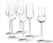 Leonardo Grappa glas Daily set van 6
