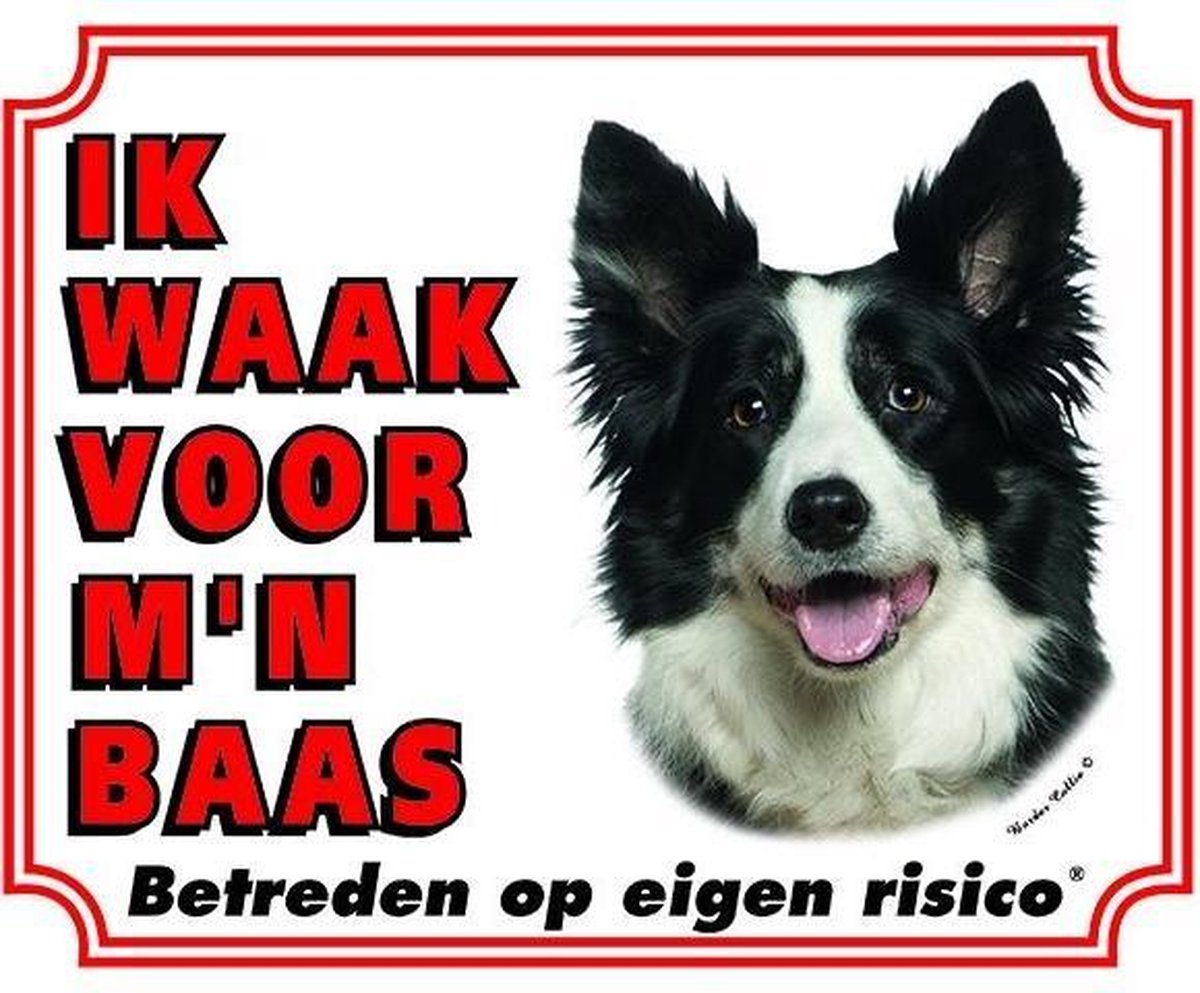 Border Collie Waakbord - Ik waak voor mijn baas