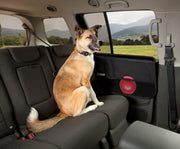 Kurgo - Car Door Guards - Black