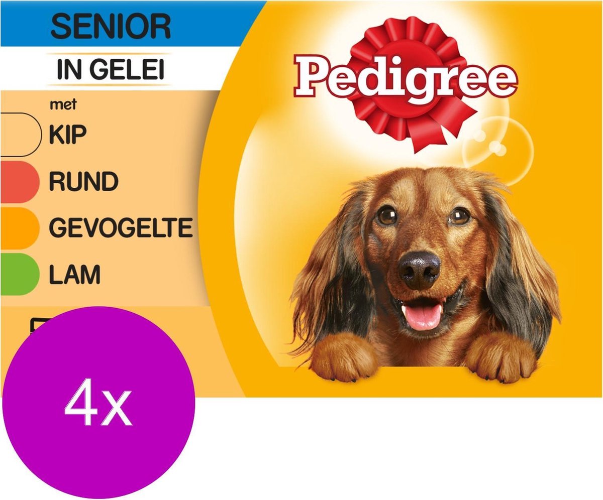 Pedigree Pouch Senior Multipack - Gevogelte Vlees - Hondenvoer - 4 x 12 x 100 g