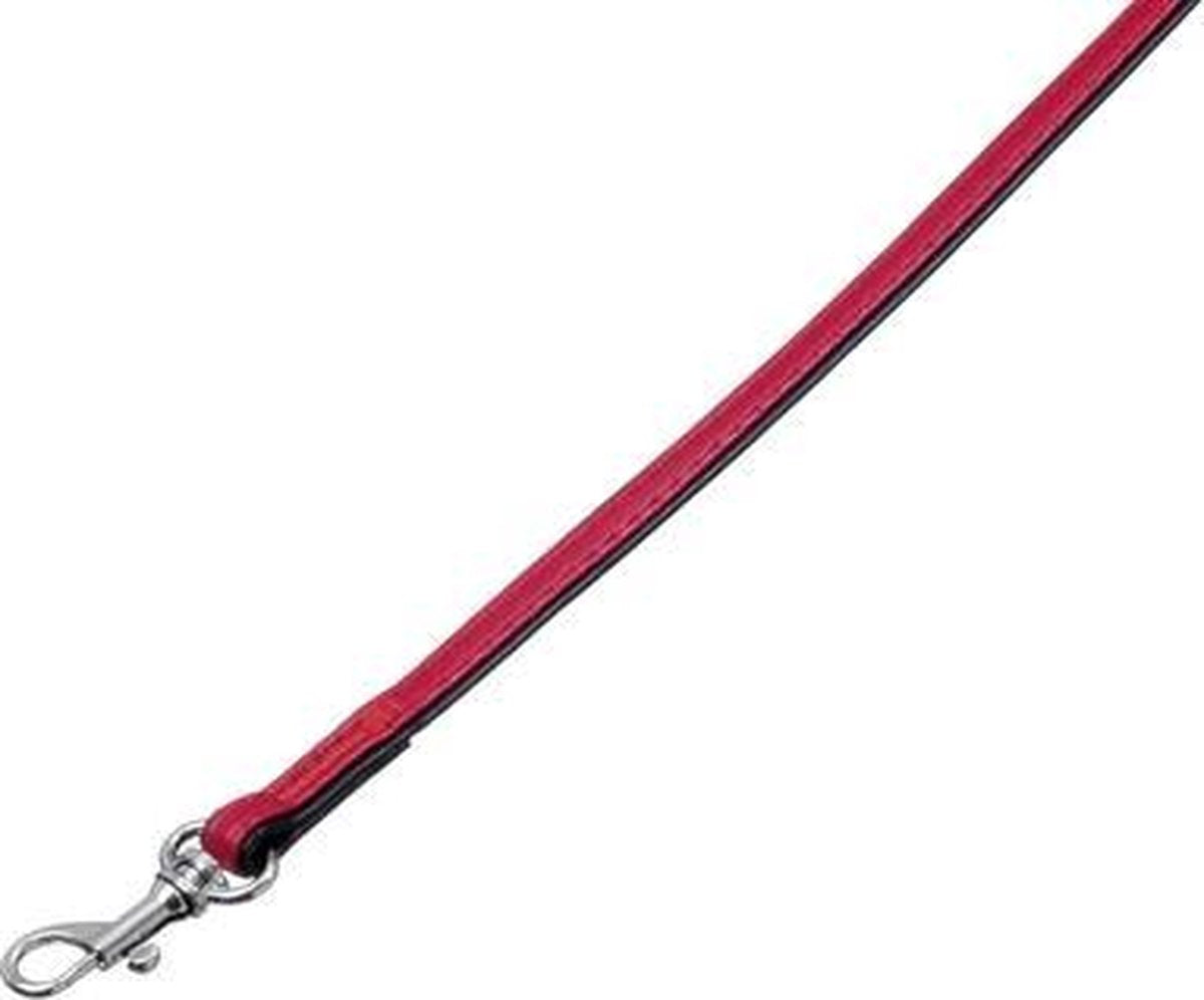 Paris leash