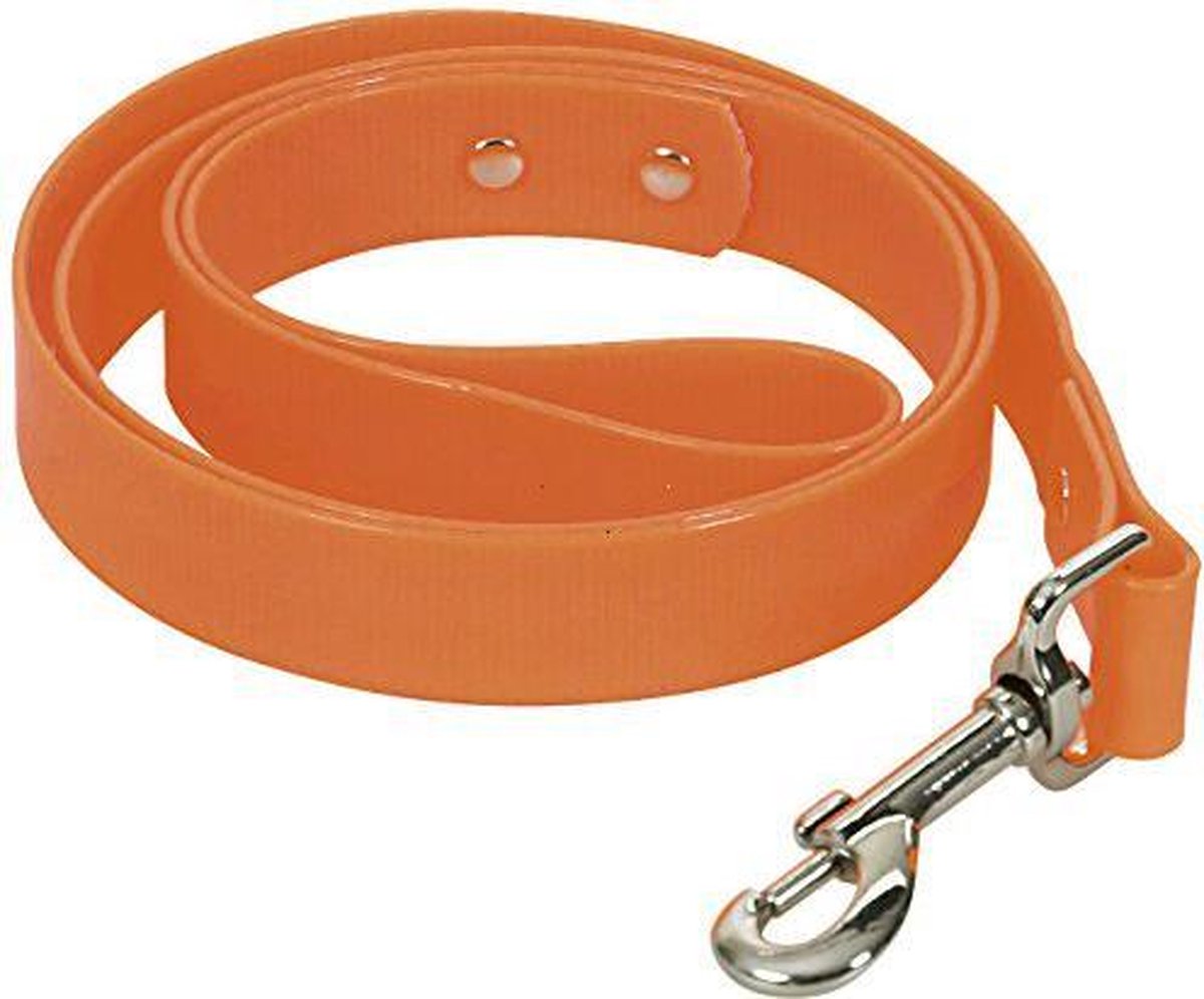 CHAPUIS SELLERIE SLA370 Guinzaglio fluorescente per cani - Collare in PVC arancione - Larghezza 25 mm - Lunghezza 1