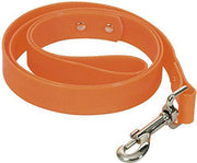 CHAPUIS SELLERIE SLA370 Guinzaglio fluorescente per cani - Collare in PVC arancione - Larghezza 25 mm - Lunghezza 1
